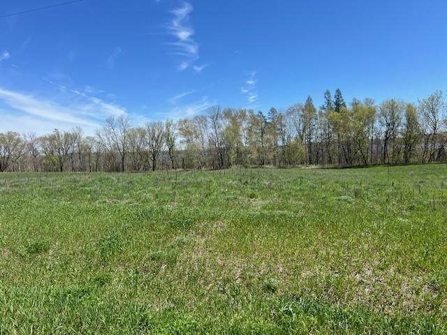 Lot 15 Alum Trail, Grey Eagle, Minnesota image 3