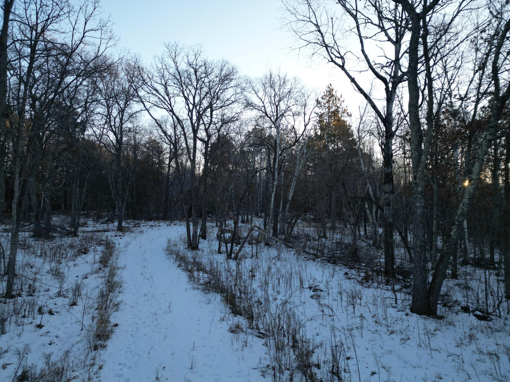 TBD County 2, Nevis, Minnesota image 5