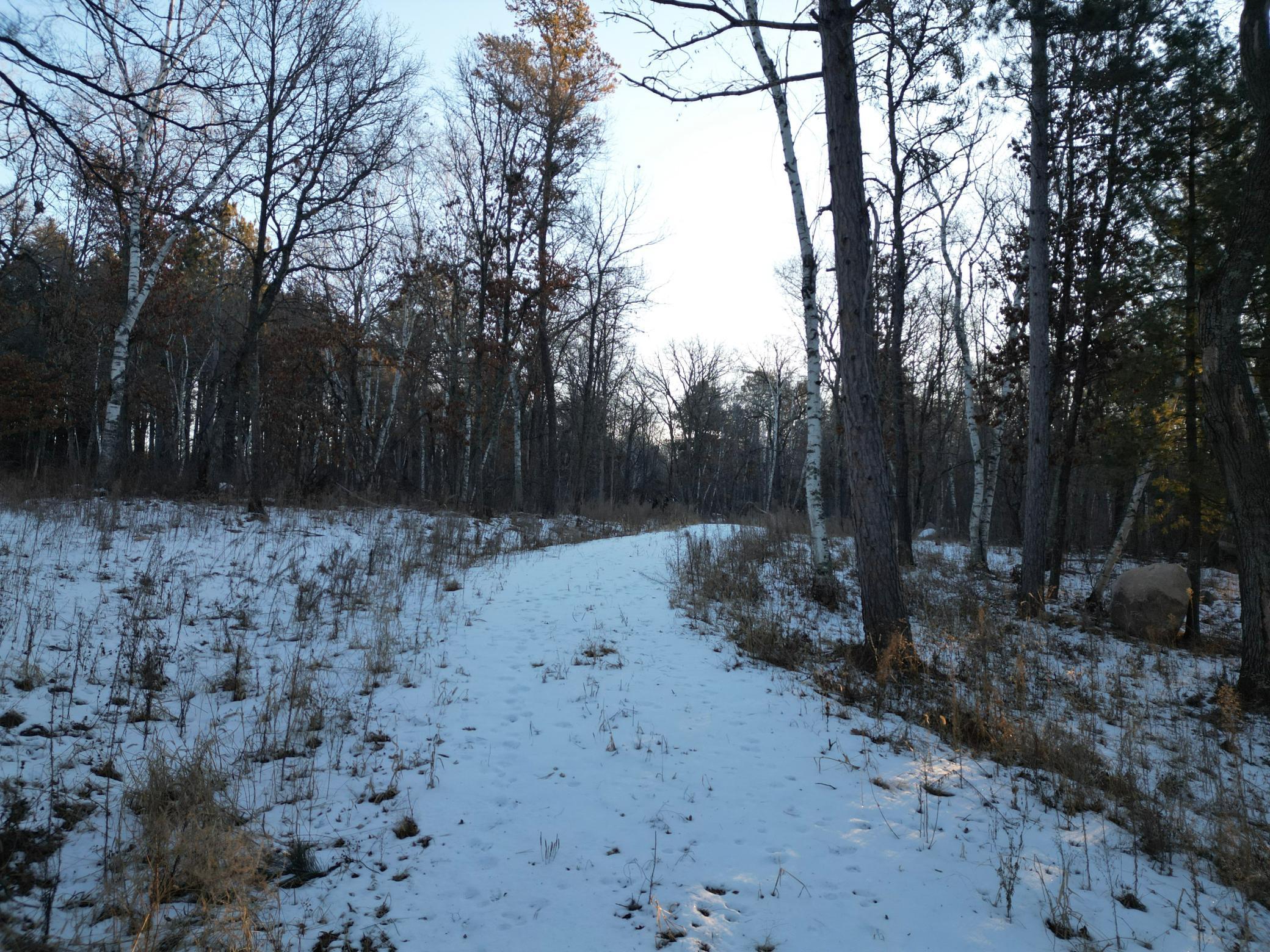 TBD County 2, Nevis, Minnesota image 4