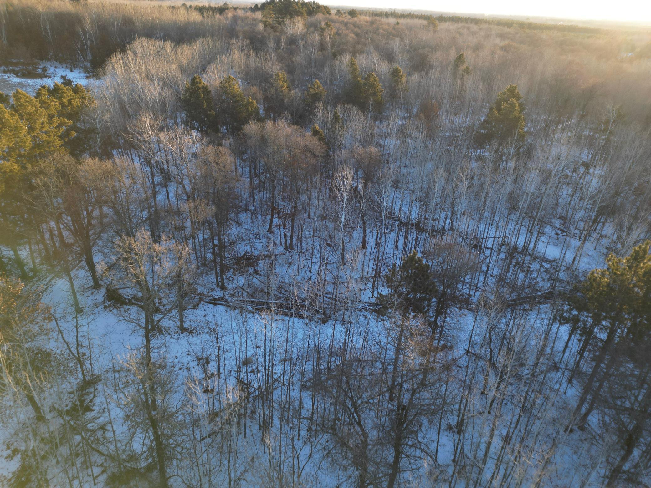 TBD County 2, Nevis, Minnesota image 14