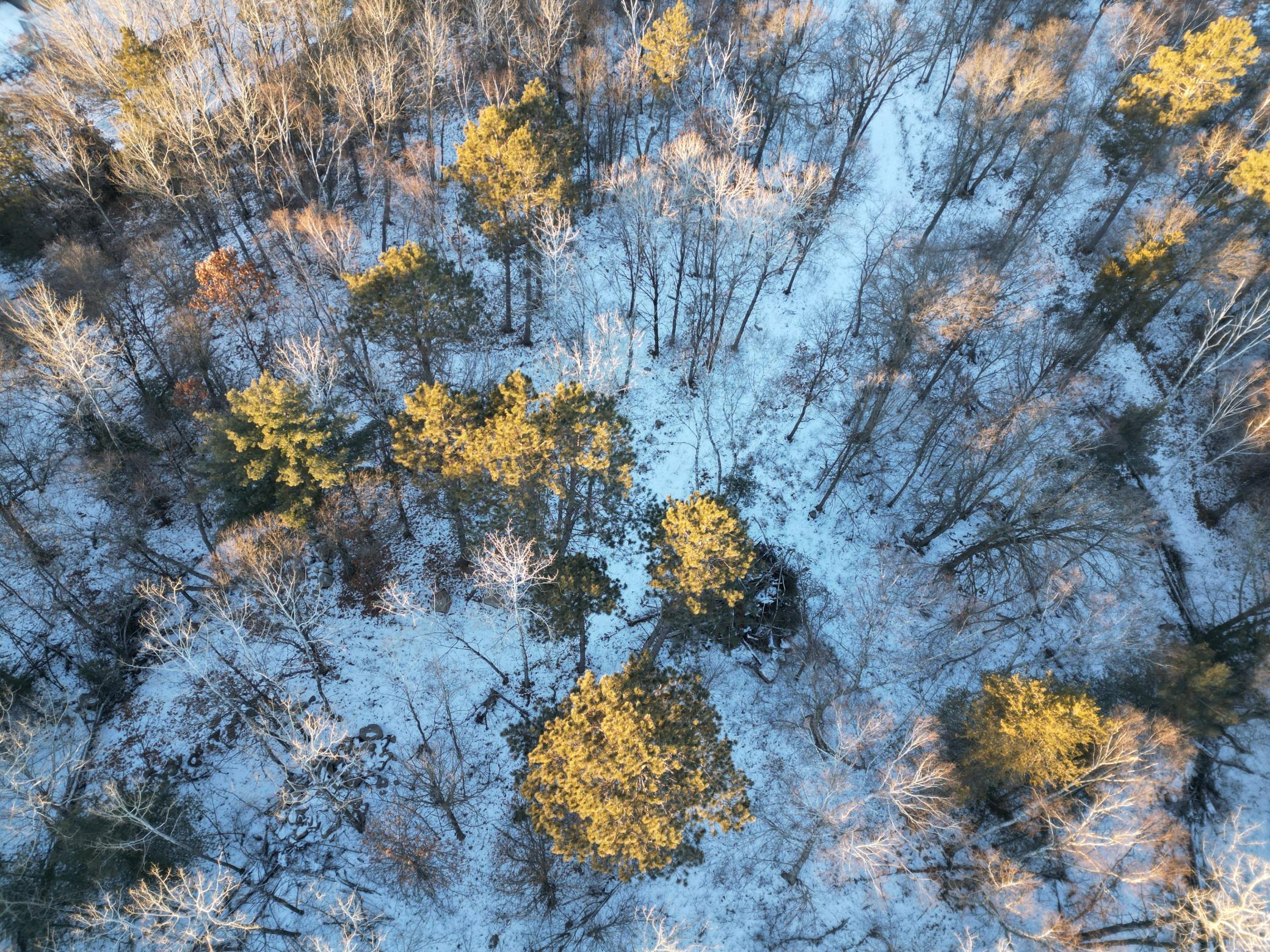 TBD County 2, Nevis, Minnesota image 7