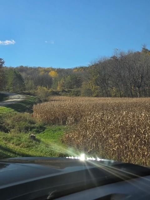 Vacant Land For Sale - XXXXX County 45 Boulevard<br/> Red Wing, MN 55066