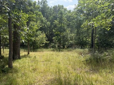 Vacant Land For Sale - TBD Breezy Point Boulevard<br/> Breezy Point, MN 56472