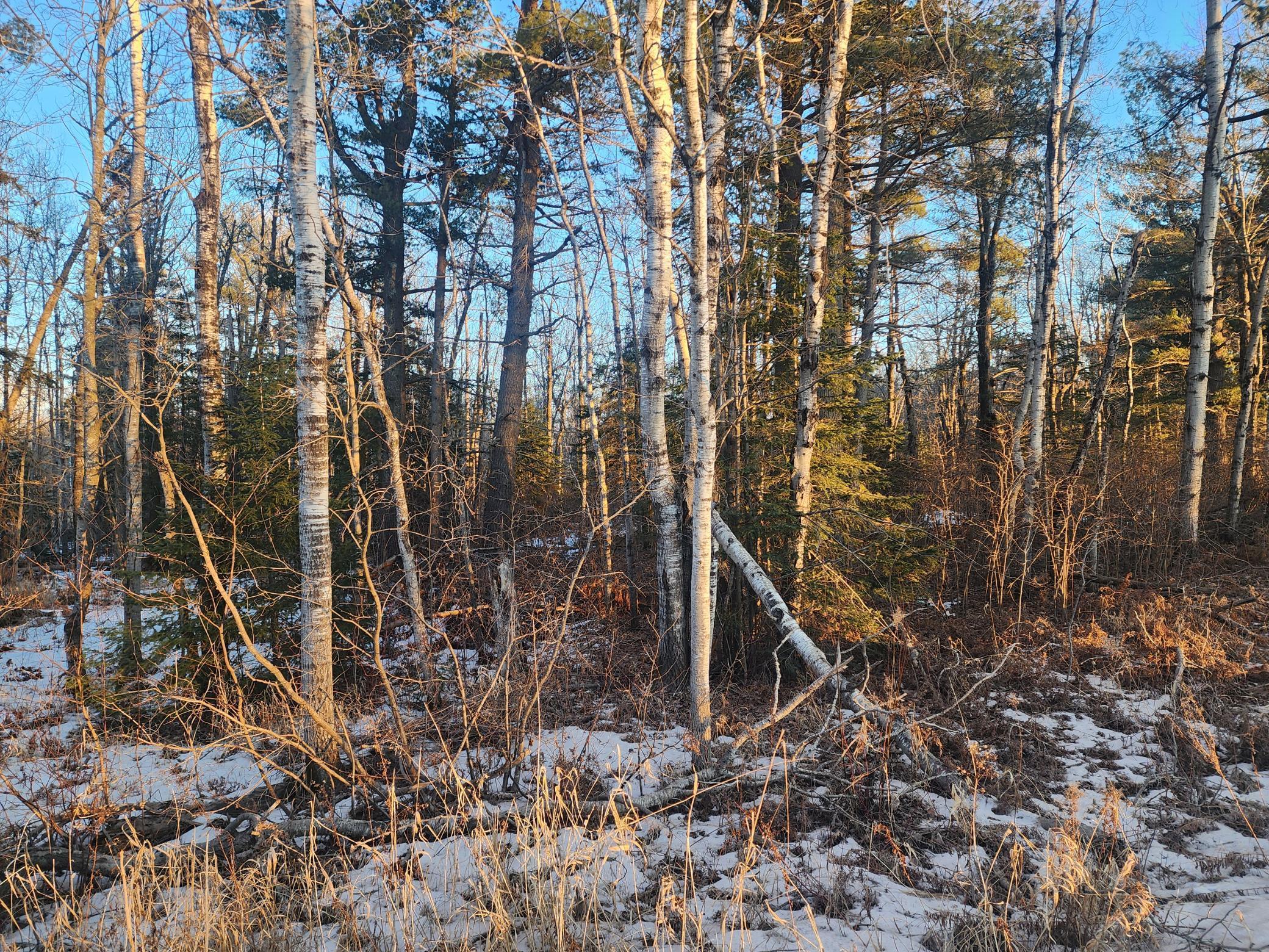 Xx Larson Road, Esko, Minnesota image 3