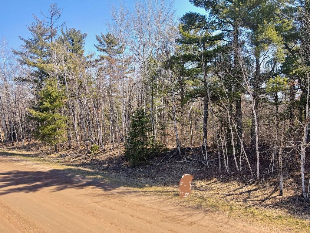 Xx Larson Road, Esko, Minnesota image 15