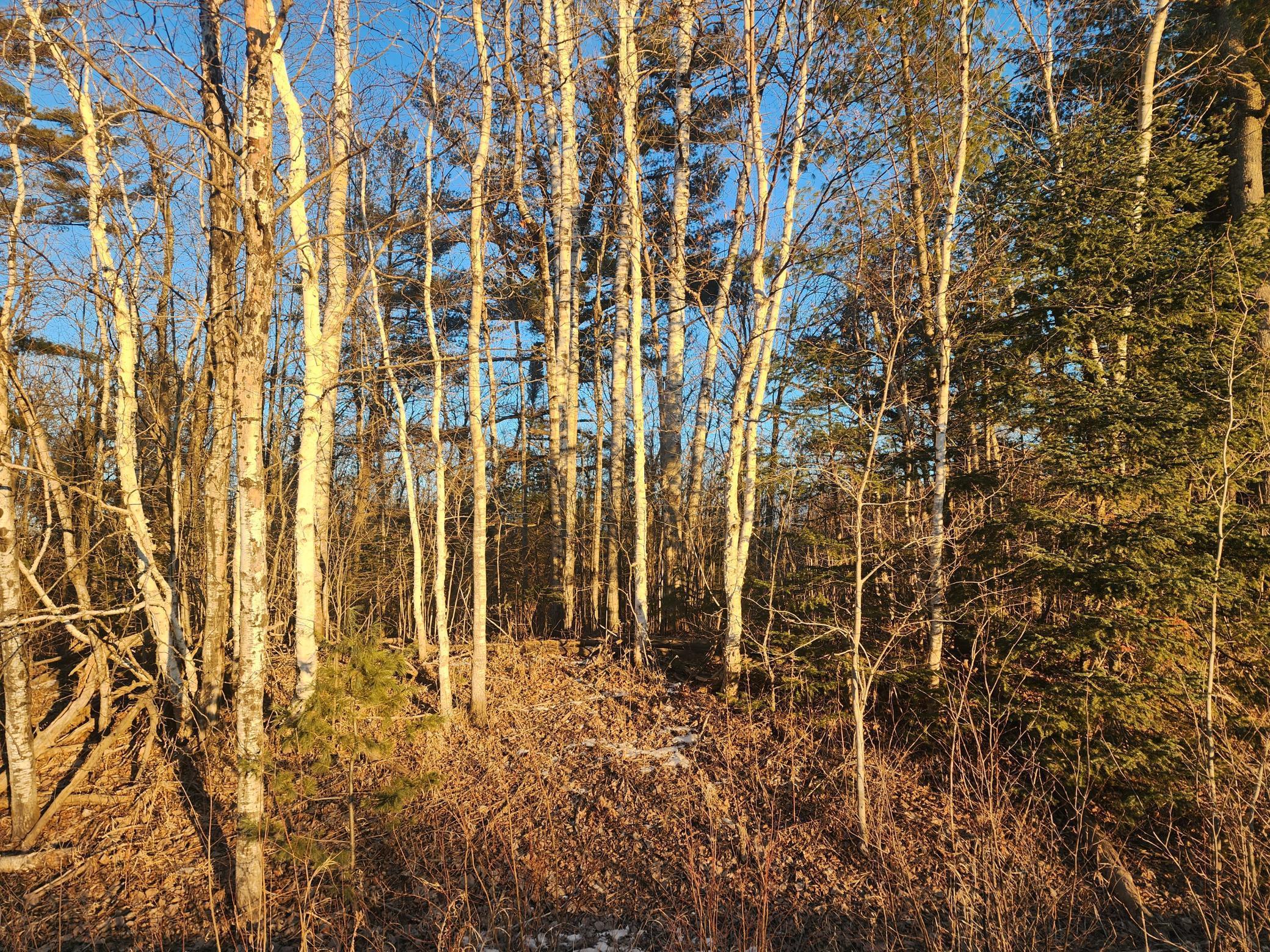 Xx Larson Road, Esko, Minnesota image 4