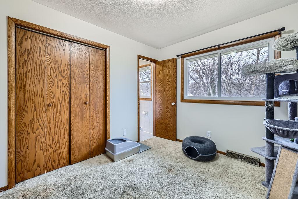 13926 Crocus Street, Andover, Minnesota image 18