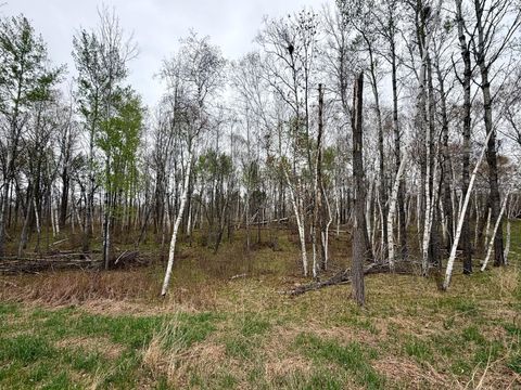 Vacant Land For Sale - L17B1 Acorn Ridge Road<br/> Bemidji, MN 56601