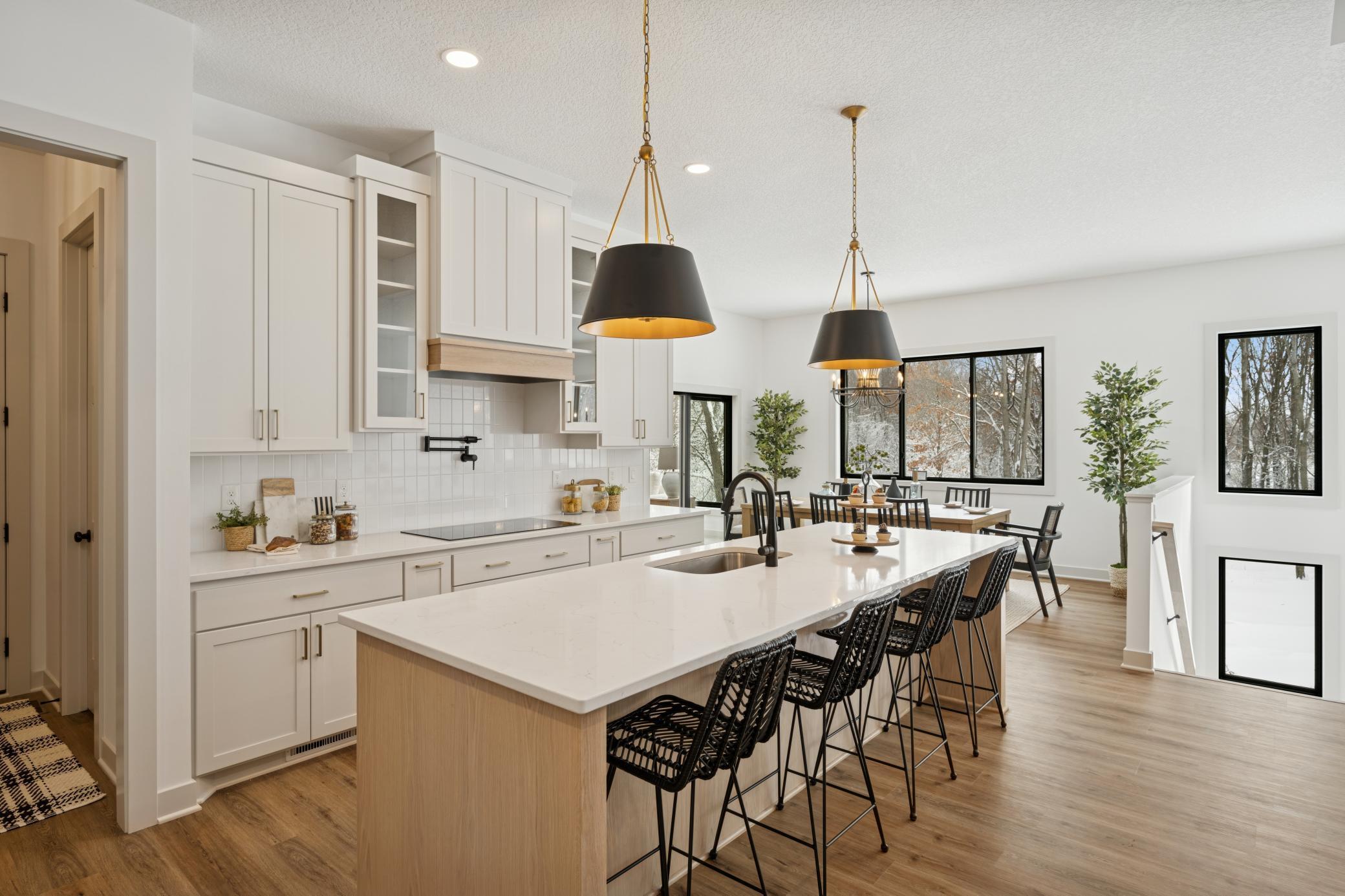14805 Stutz Street, Ham Lake, Minnesota image 14