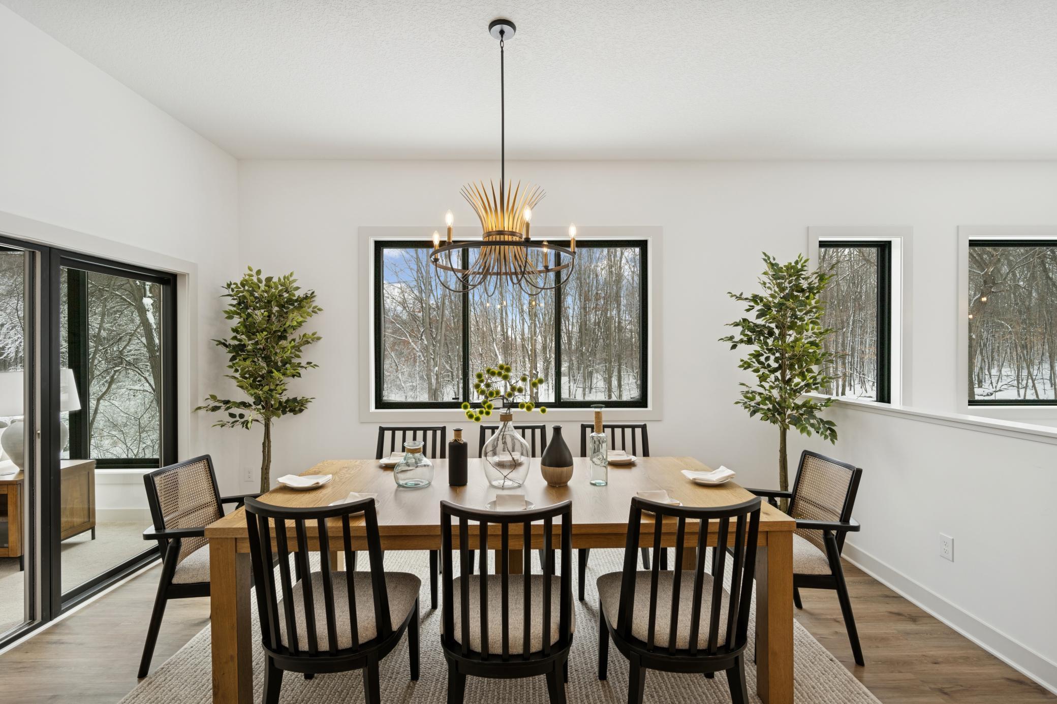 14805 Stutz Street, Ham Lake, Minnesota image 21