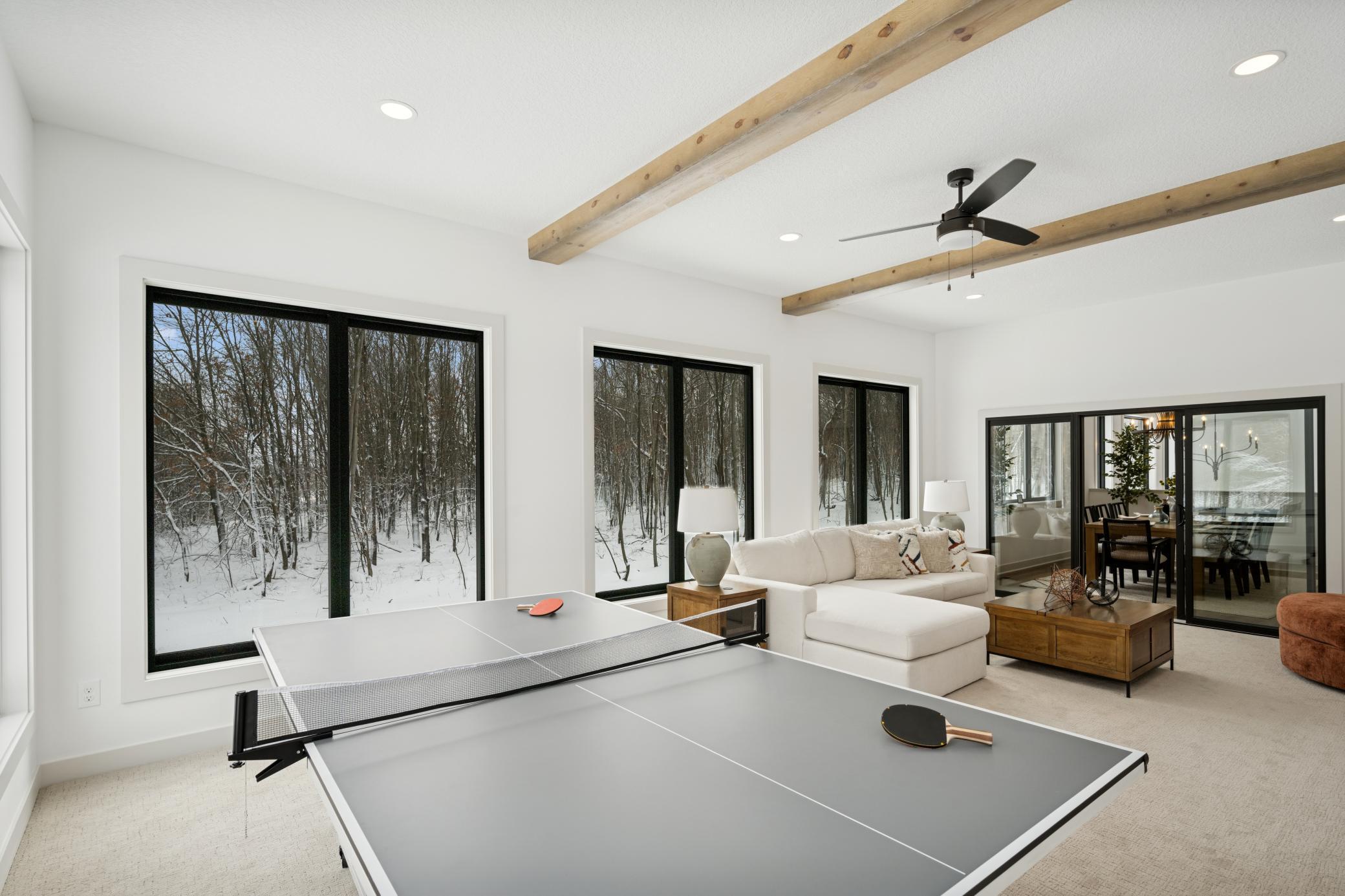 14805 Stutz Street, Ham Lake, Minnesota image 28