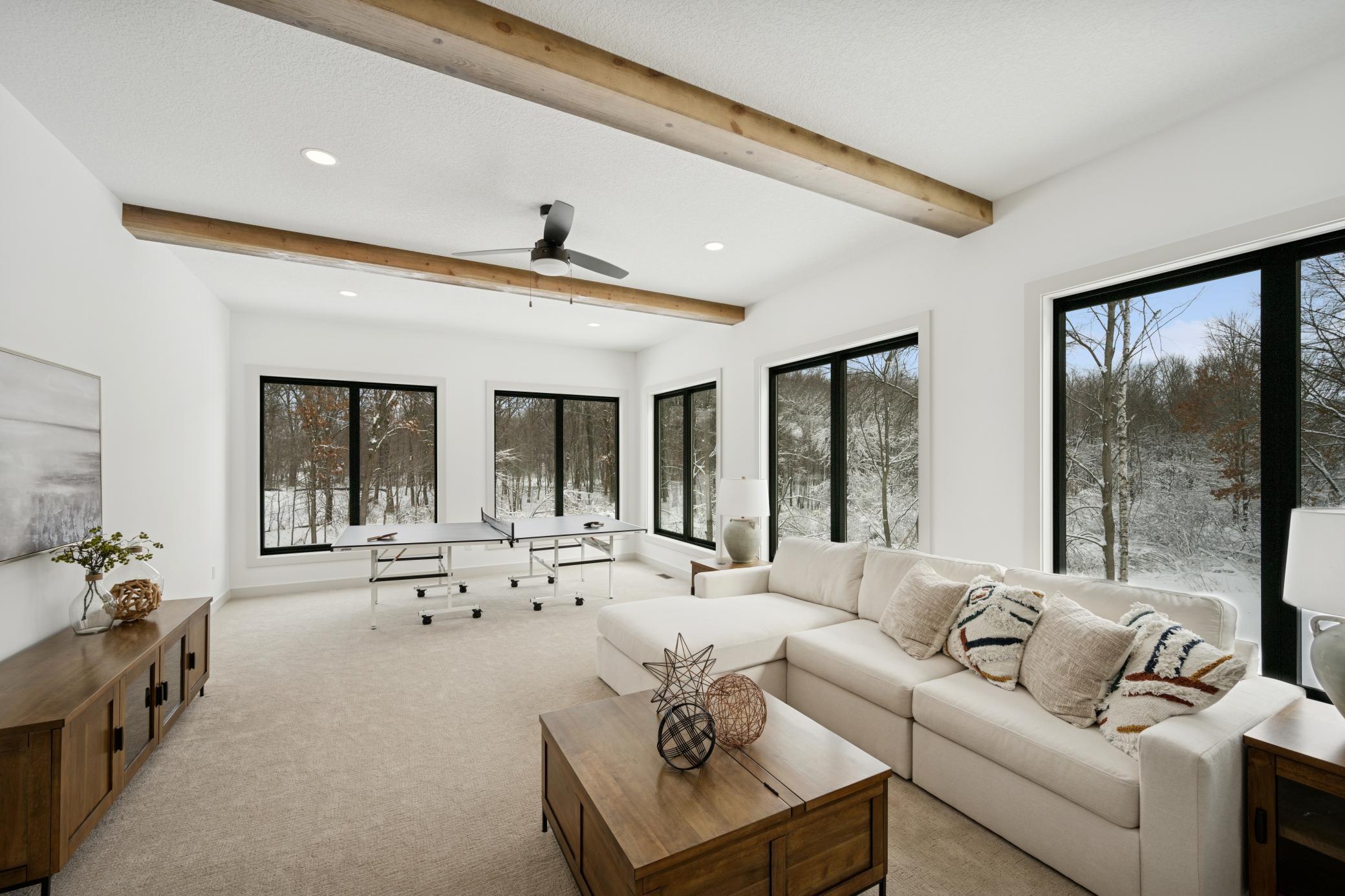 14805 Stutz Street, Ham Lake, Minnesota image 25