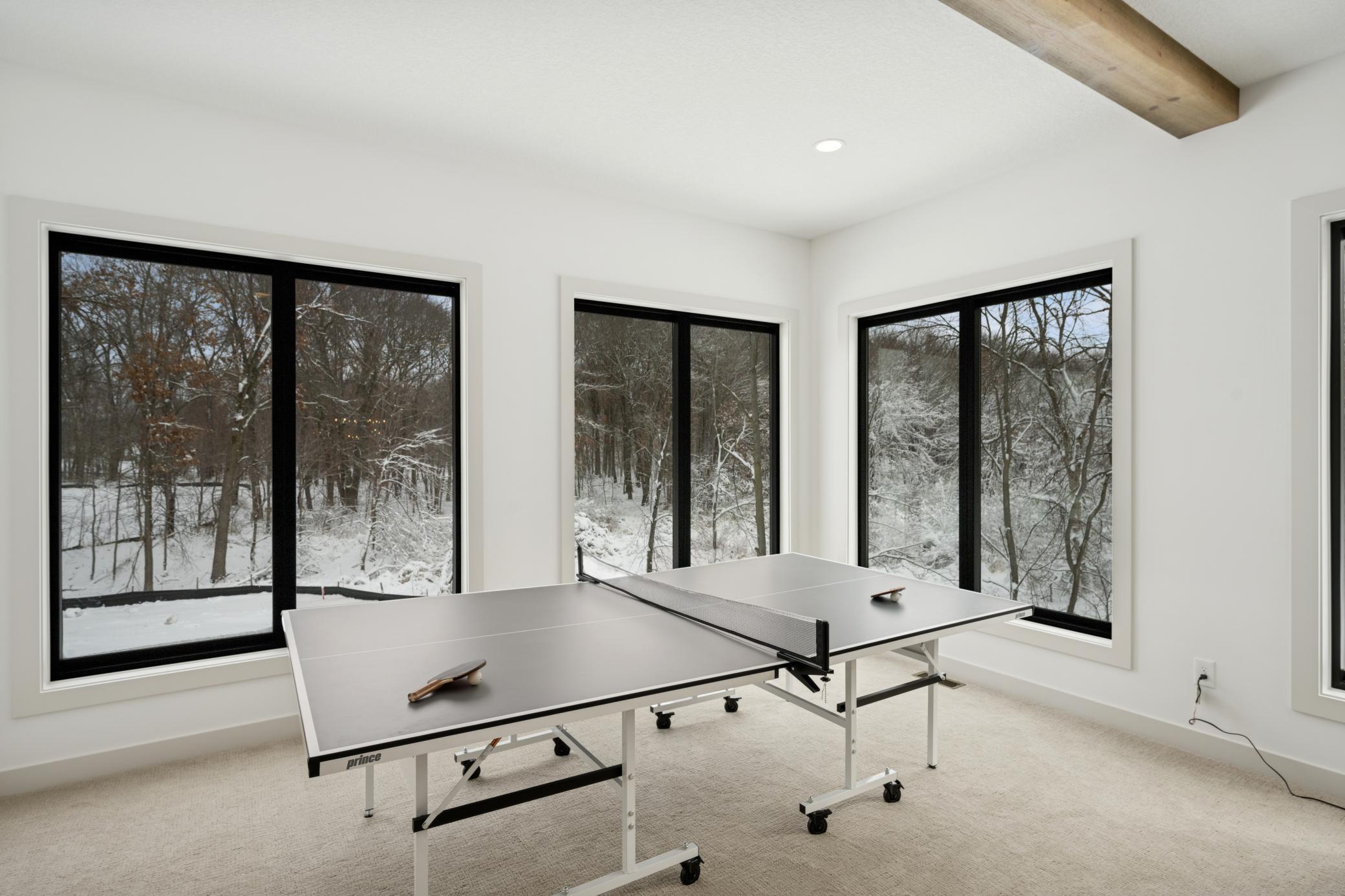 14805 Stutz Street, Ham Lake, Minnesota image 29