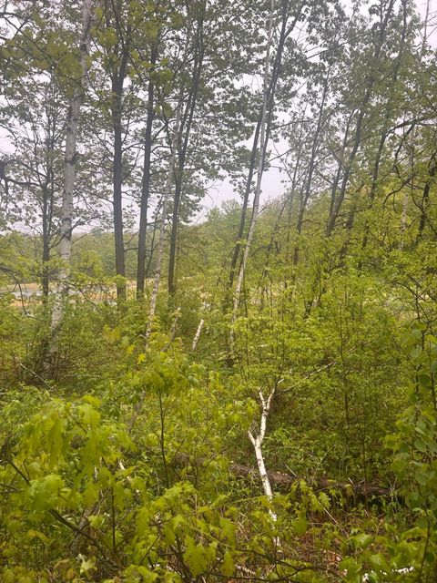 Vacant Land For Sale - XXX Cardinal Trail<br/> Randall, MN 56475