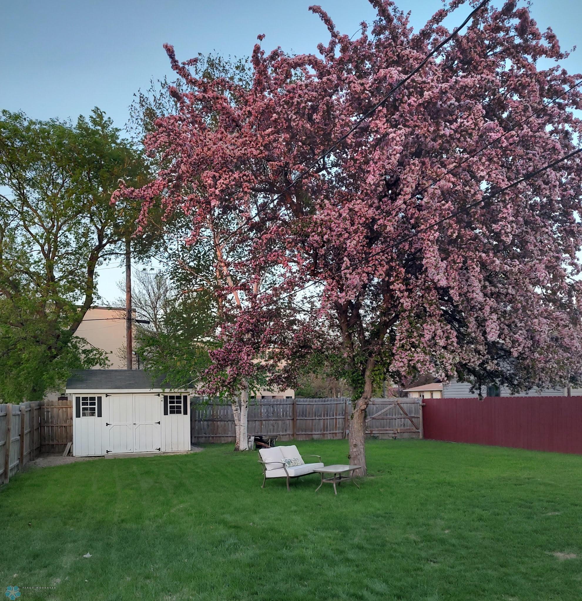 228 Oak Street, Breckenridge, Minnesota image 4