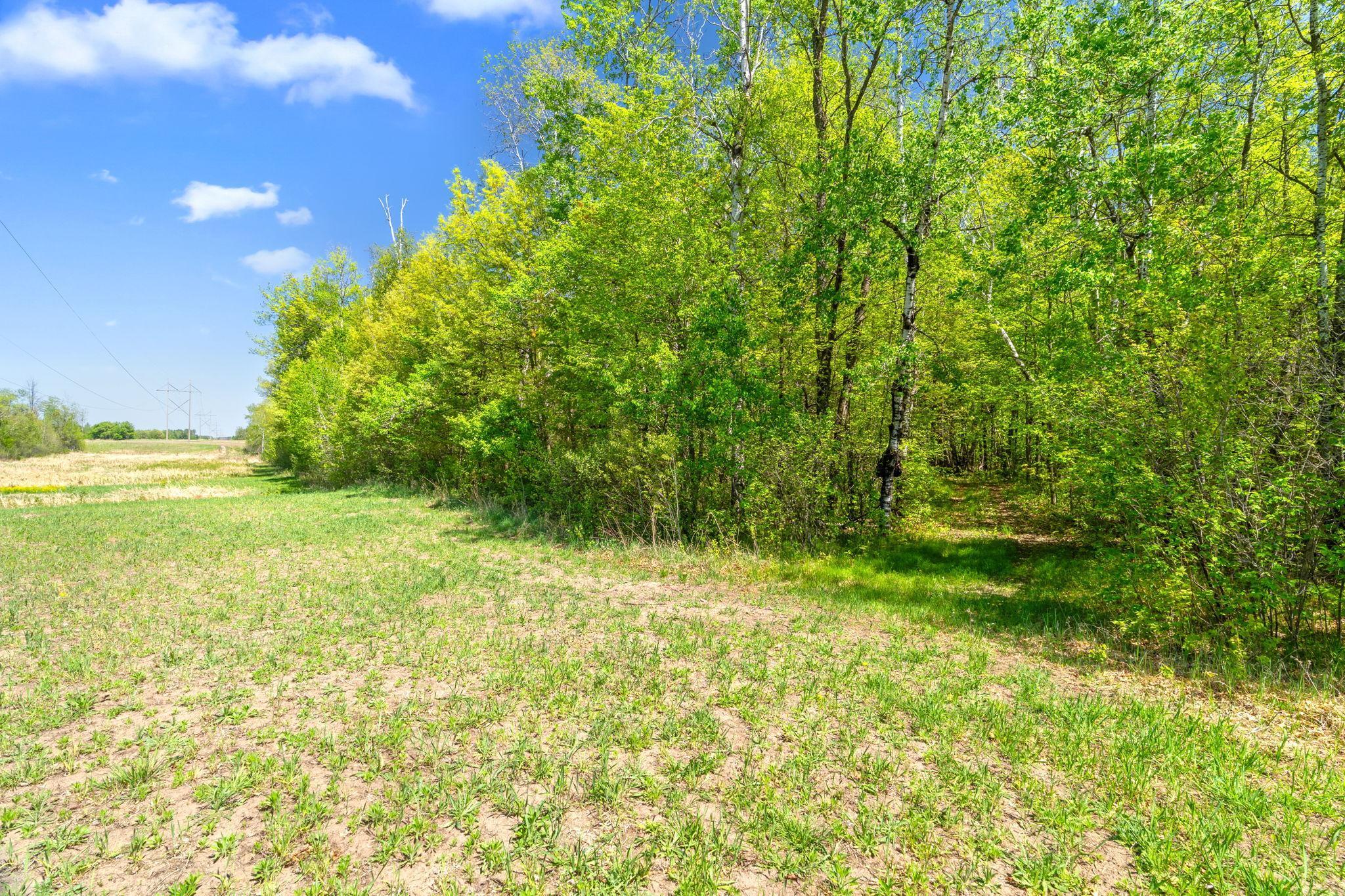 76xx 470th Street, Harris, Minnesota image 8