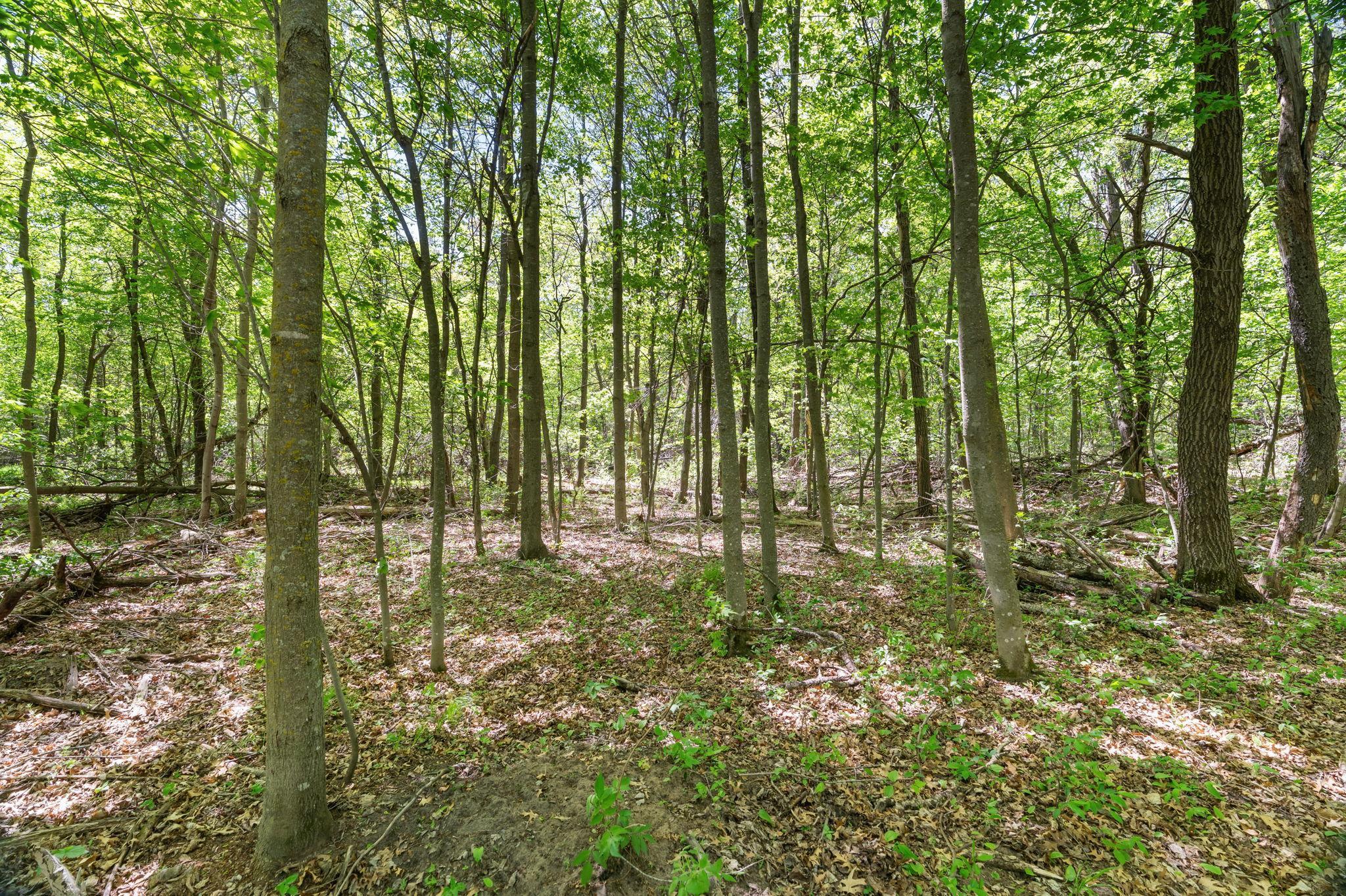 76xx 470th Street, Harris, Minnesota image 4