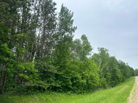 Vacant Land For Sale - TBD County Rd 16<br/> Todd County, Cushing, MN 56443