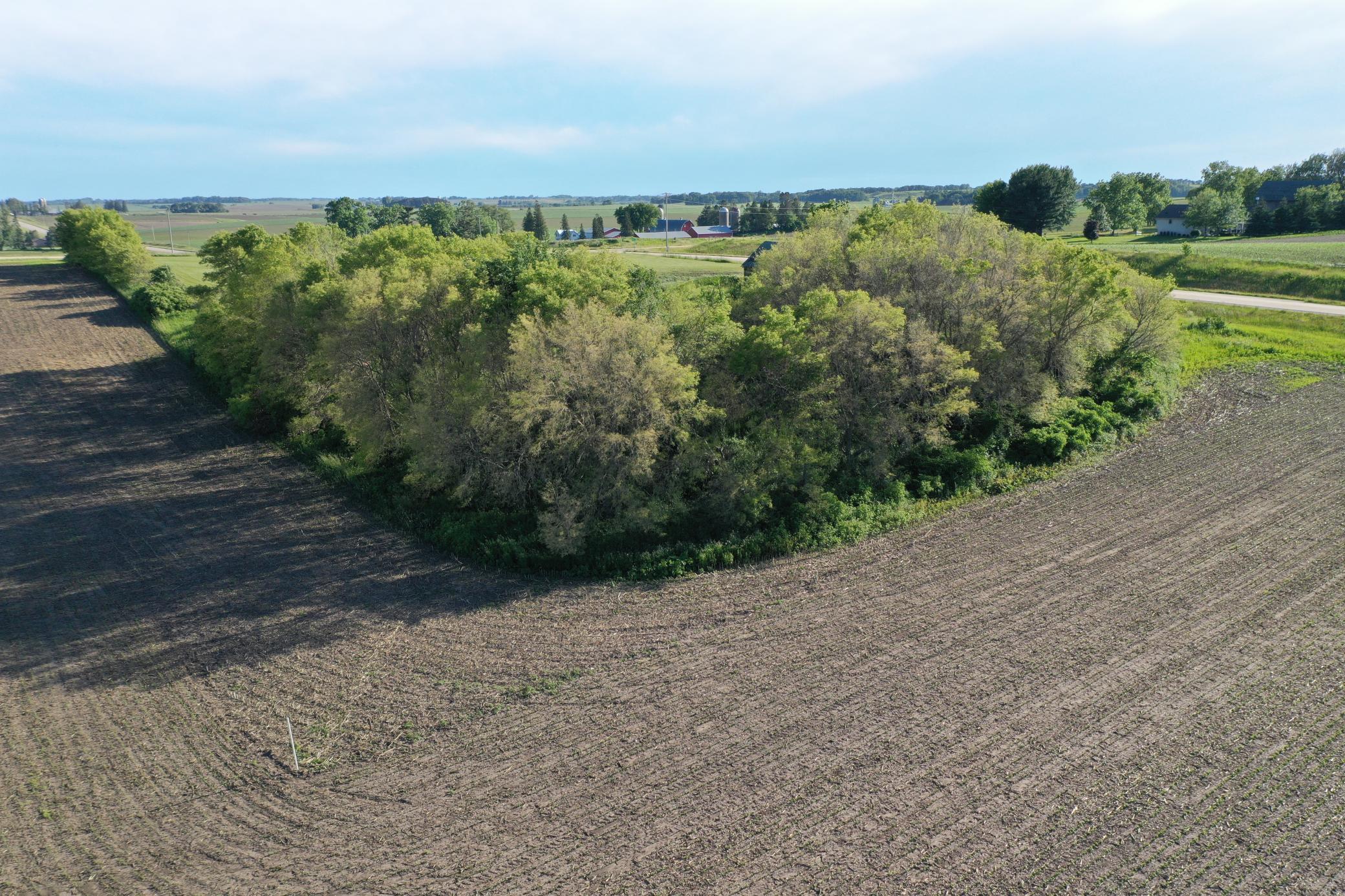 17063 County Road 10, Saint Charles, Minnesota image 7