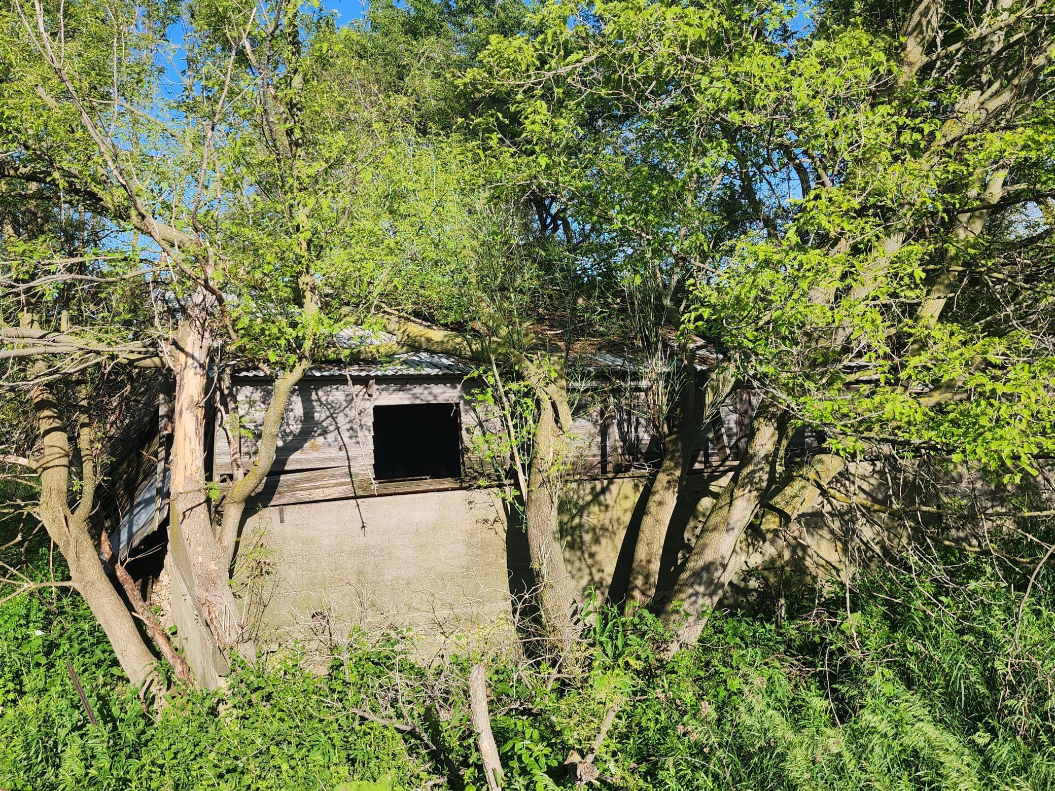 17063 County Road 10, Saint Charles, Minnesota image 24