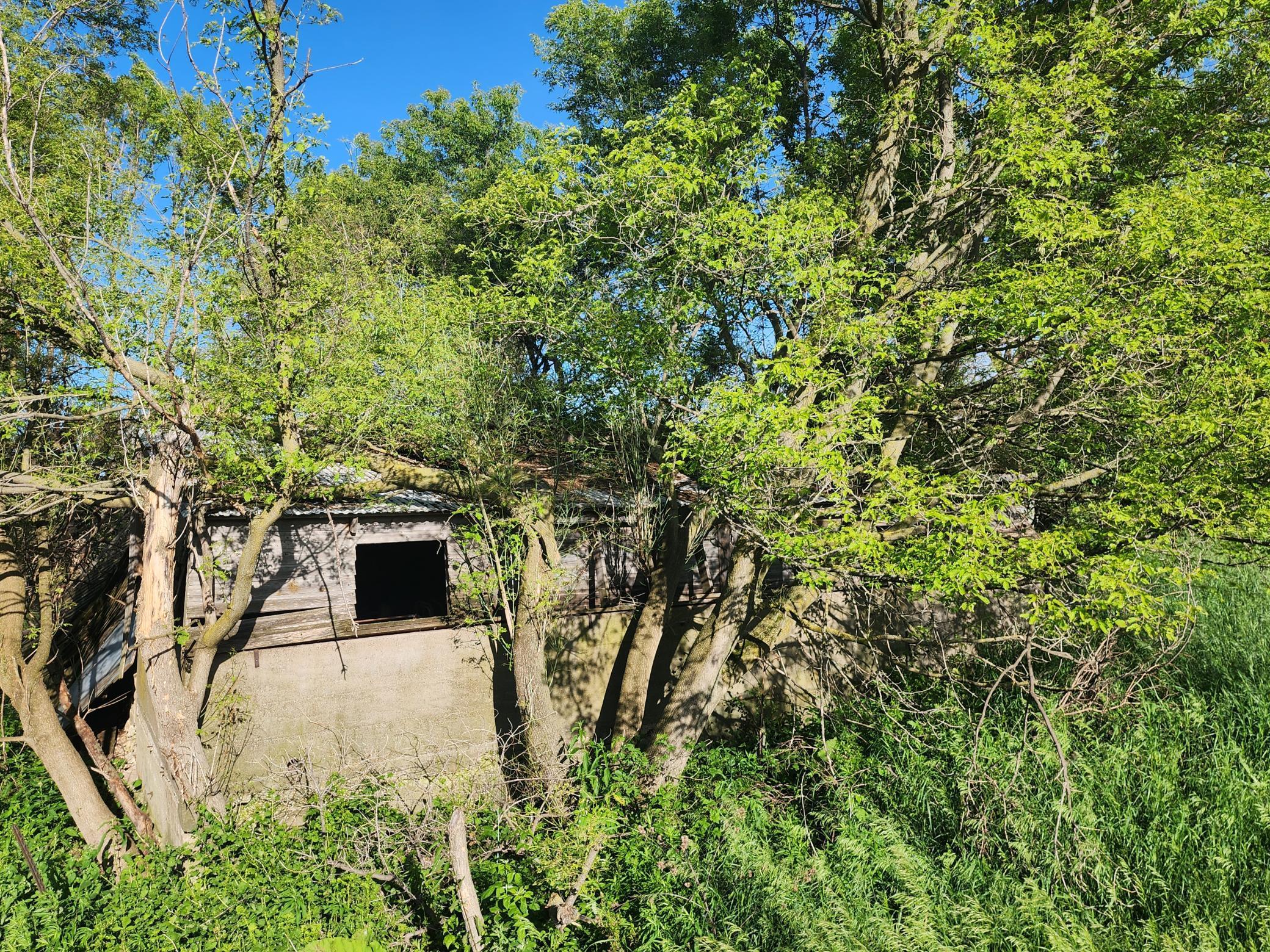 17063 County Road 10, Saint Charles, Minnesota image 25