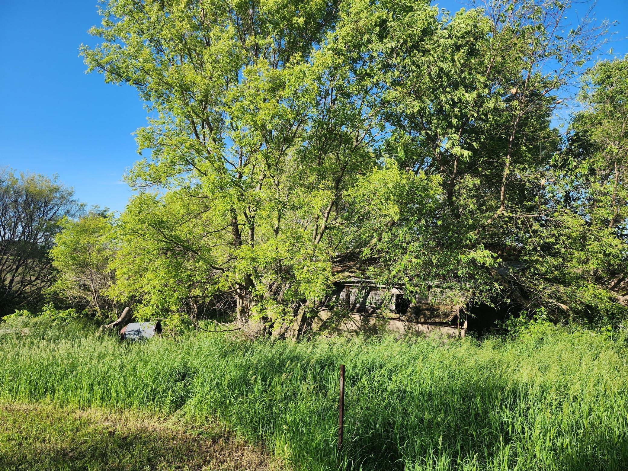 17063 County Road 10, Saint Charles, Minnesota image 21