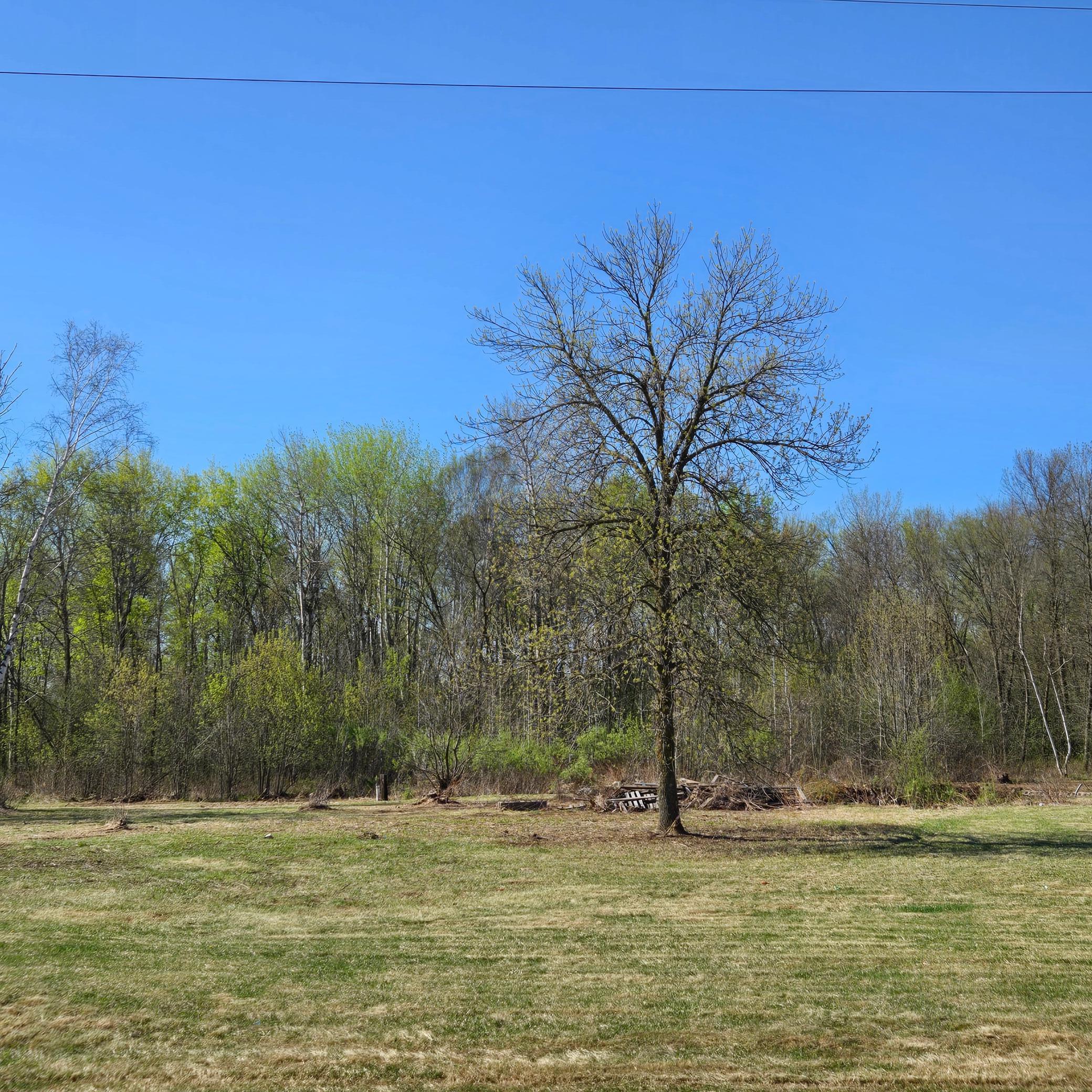 1697 125th Avenue, Ogilvie, Minnesota image 10