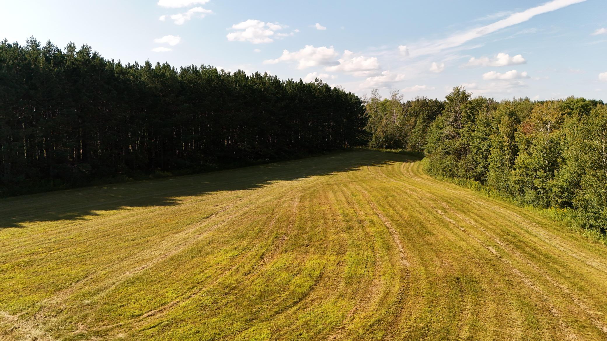 XXXX County Road 113, Brainerd, Minnesota image 6