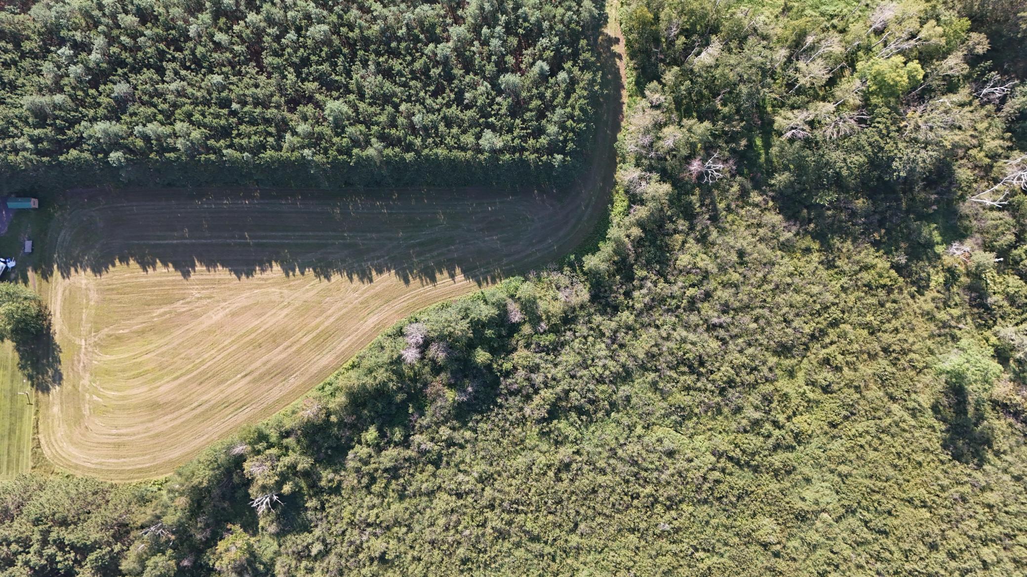 XXXX County Road 113, Brainerd, Minnesota image 9