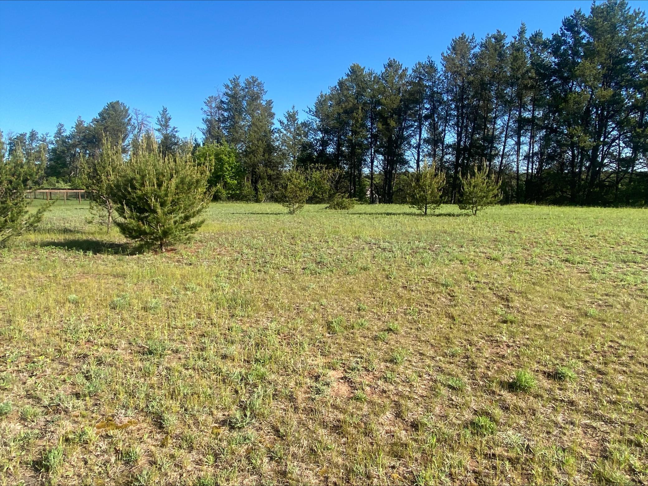 Lot 6 Nelson Road, Chippewa Falls, Wisconsin image 2