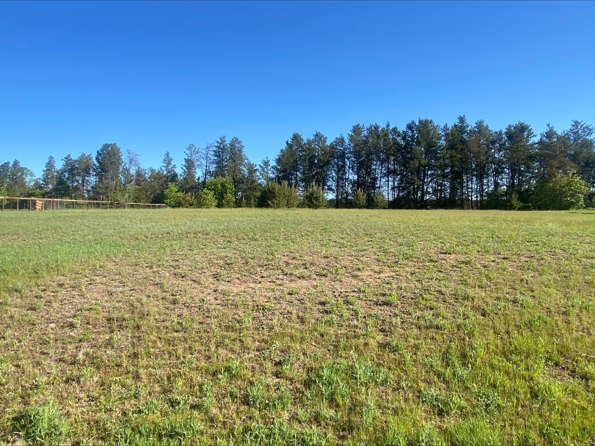 Lot 6 Nelson Road, Chippewa Falls, Wisconsin image 3