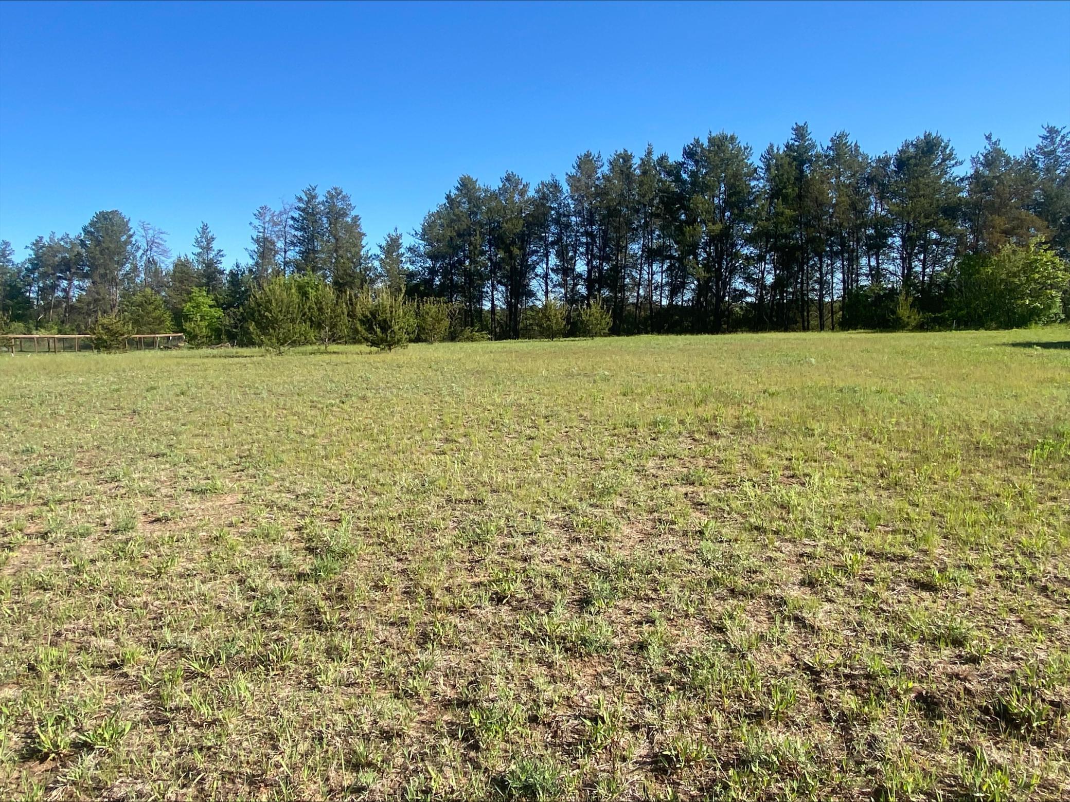 Lot 6 Nelson Road, Chippewa Falls, Wisconsin image 1