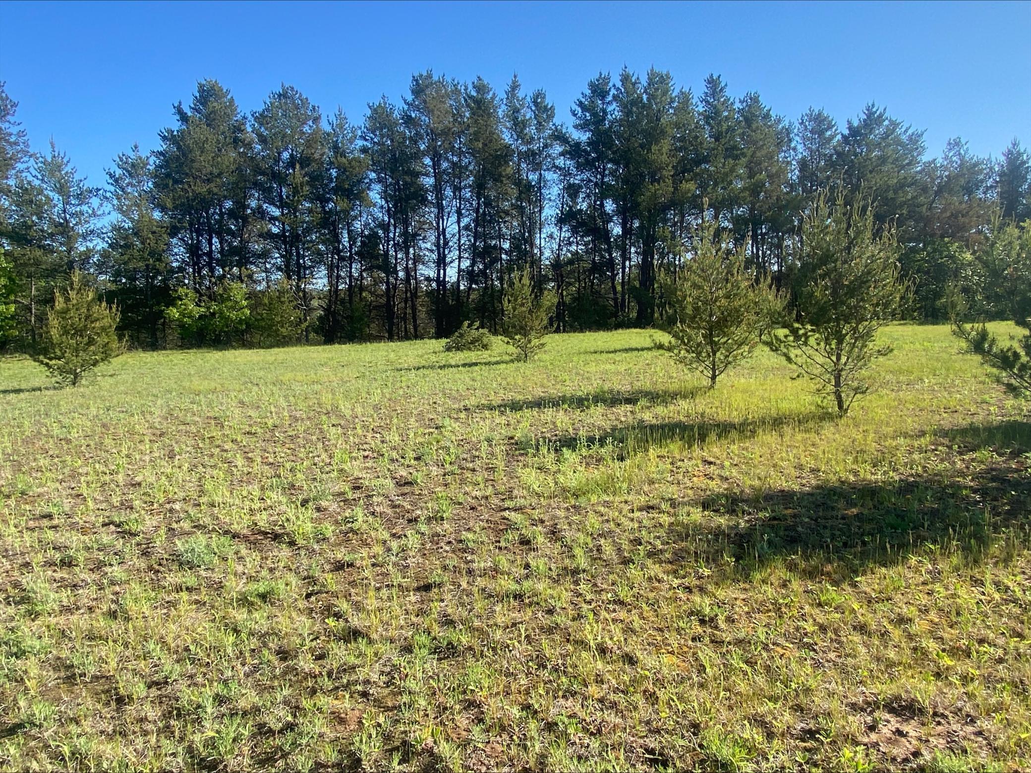 Lot 6 Nelson Road, Chippewa Falls, Wisconsin image 5
