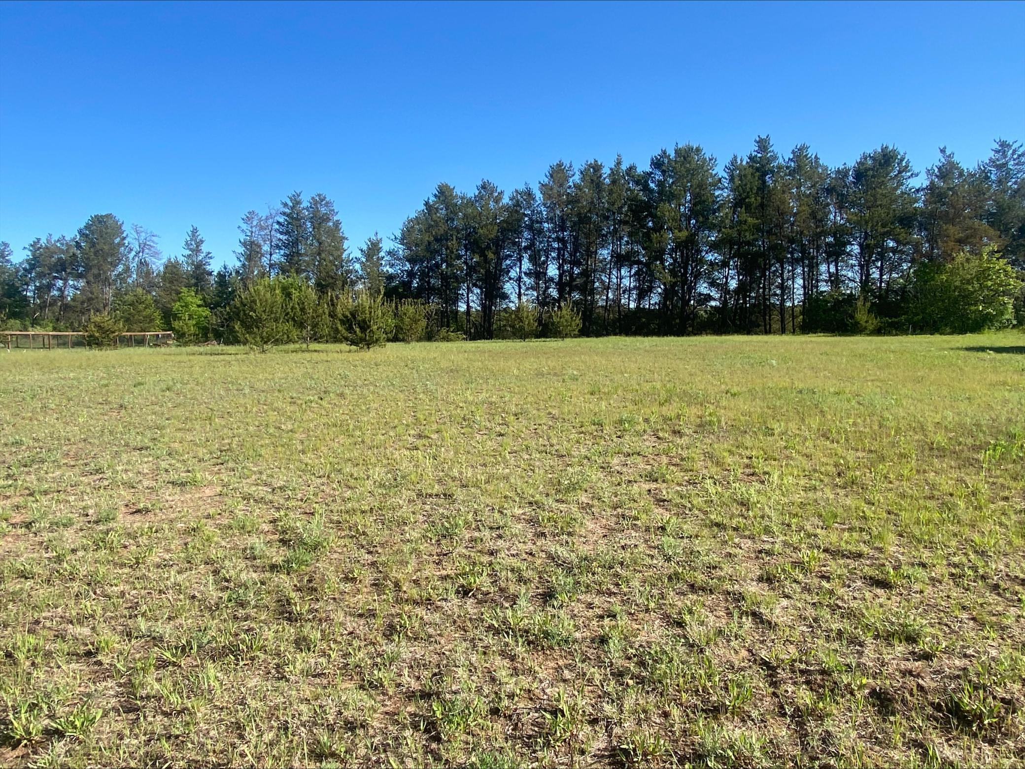 Lot 6 Nelson Road, Chippewa Falls, Wisconsin image 4