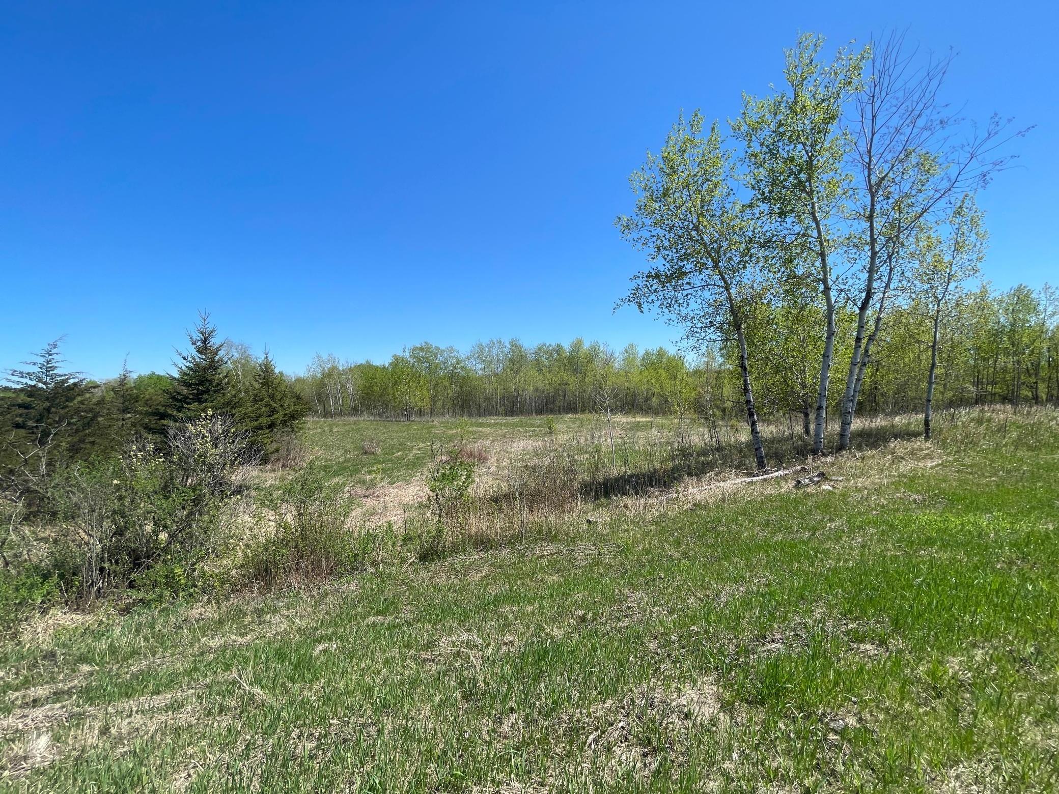 408xx Tiger Street, Milaca, Minnesota image 3
