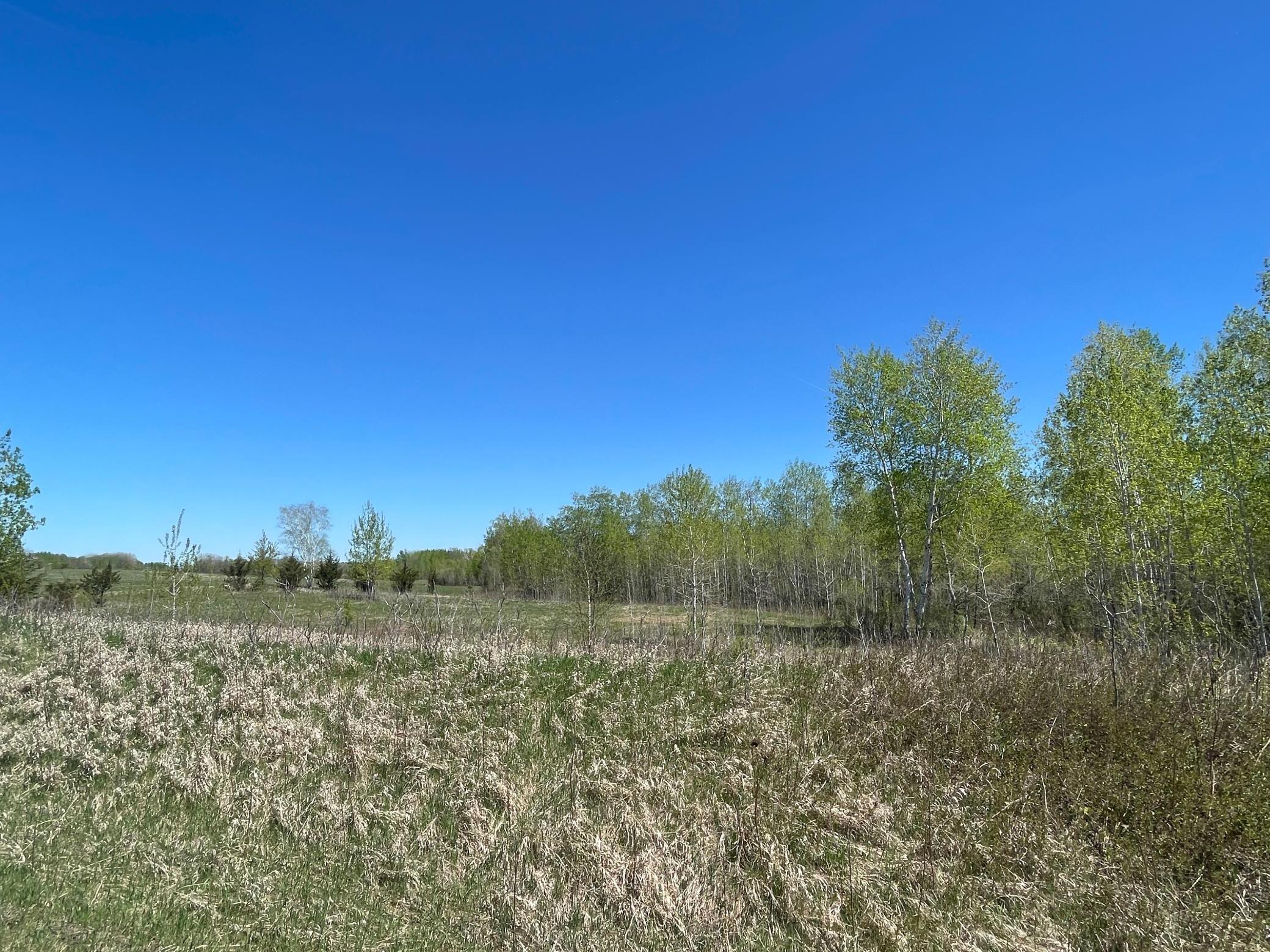 408xx Tiger Street, Milaca, Minnesota image 4