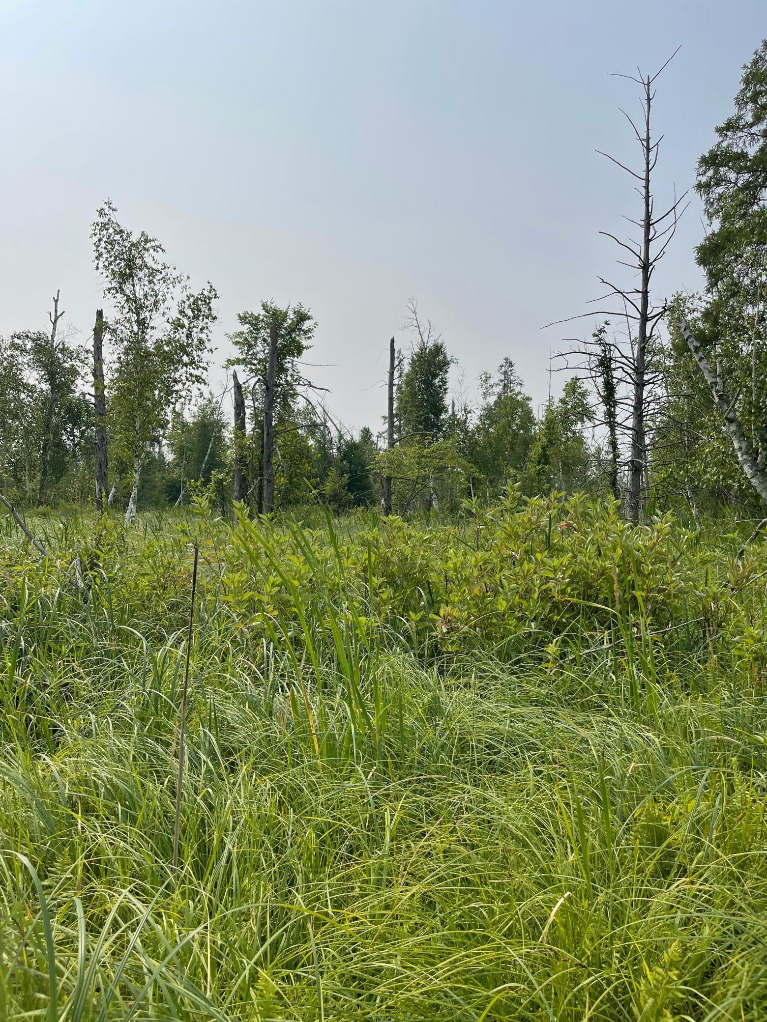 Xxx County Road 2, Holdingford, Minnesota image 3