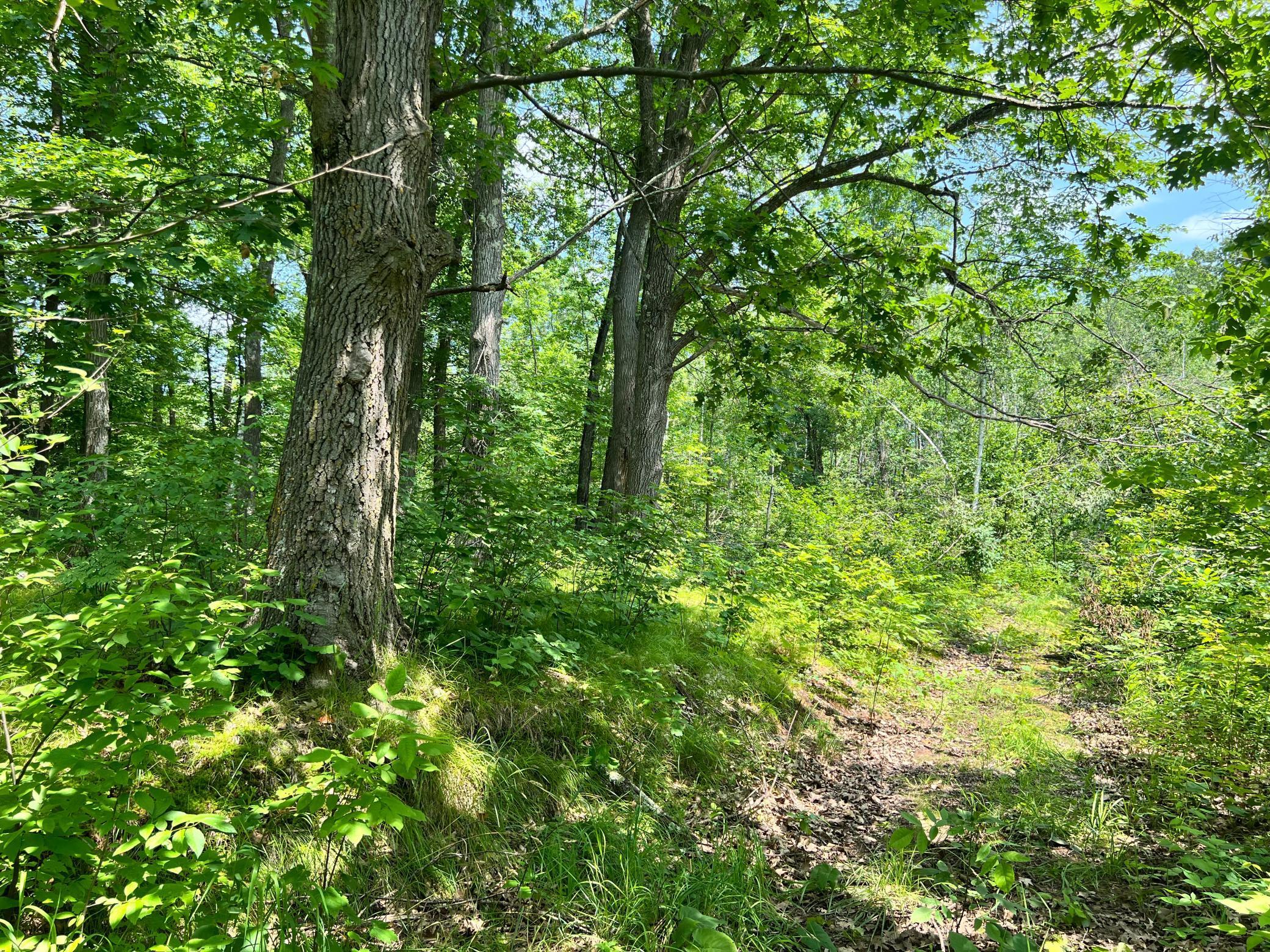 74302 Knotty Pine Road, Bruno, Minnesota image 37