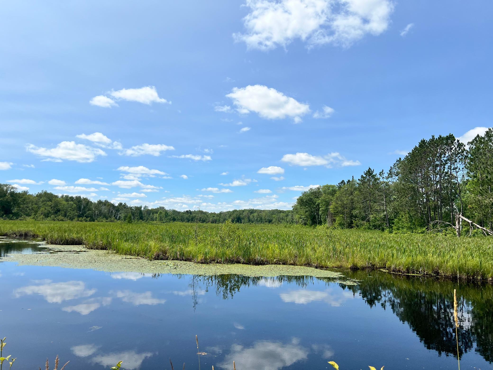 74302 Knotty Pine Road, Bruno, Minnesota image 32