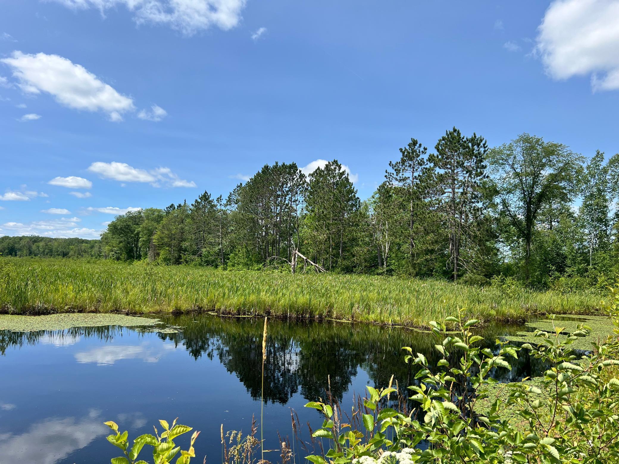 74302 Knotty Pine Road, Bruno, Minnesota image 31