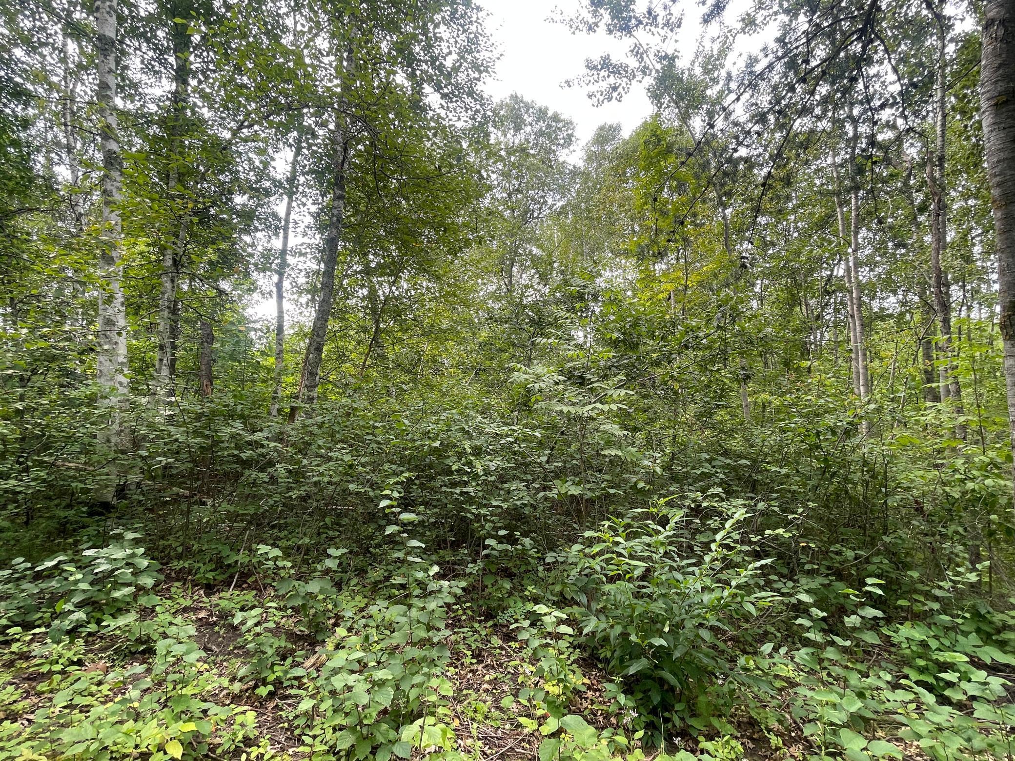 Lot 2 Patriot Ave, Pequot Lakes, Minnesota image 2