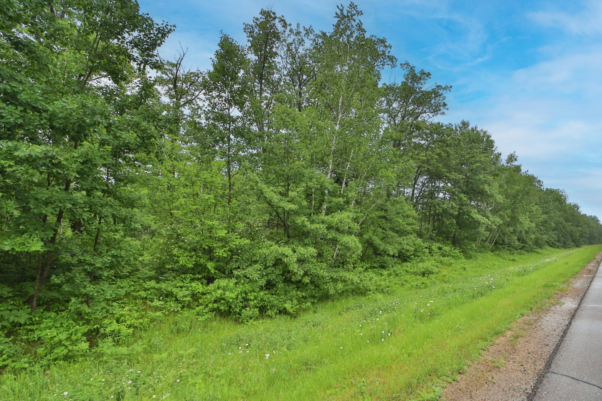 TBD County 7 Road, Remer, Minnesota image 3