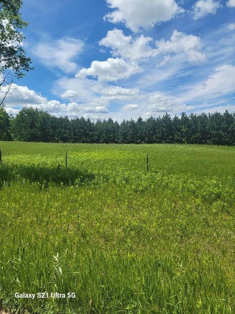 Vacant Land For Sale - 145TH 145th<br/> Todd County, Eagle Bend, MN 56446
