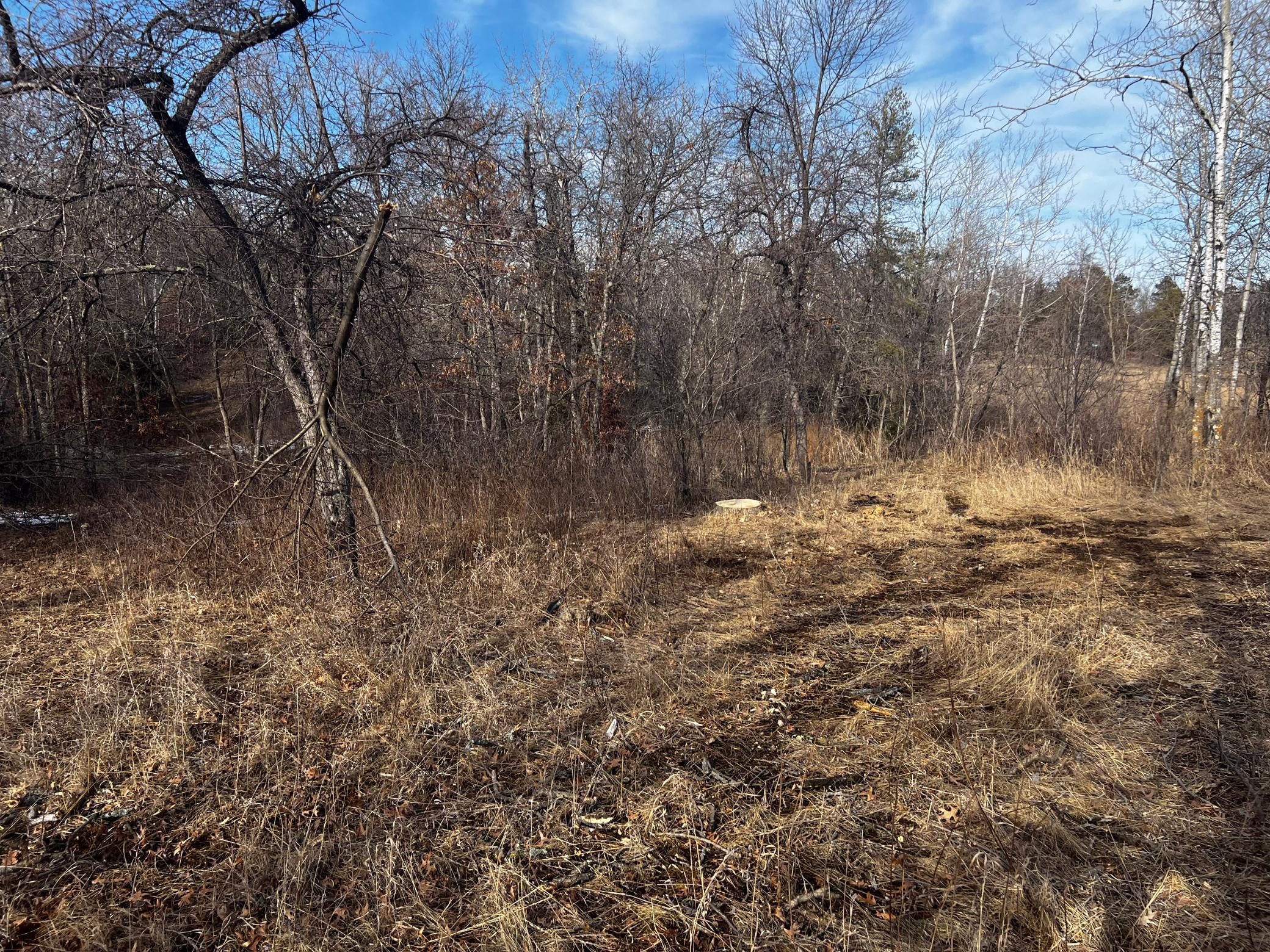 TBD Frustration Lane, Park Rapids, Minnesota image 9