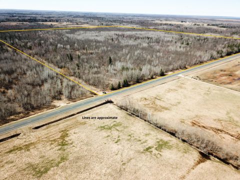 Vacant Land For Sale - TBD Cormorant Road<br/> Beltrami County, Kelliher, MN 56650