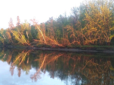 Vacant Land For Sale - 48439 290th Place<br/> Palisade, MN 56469