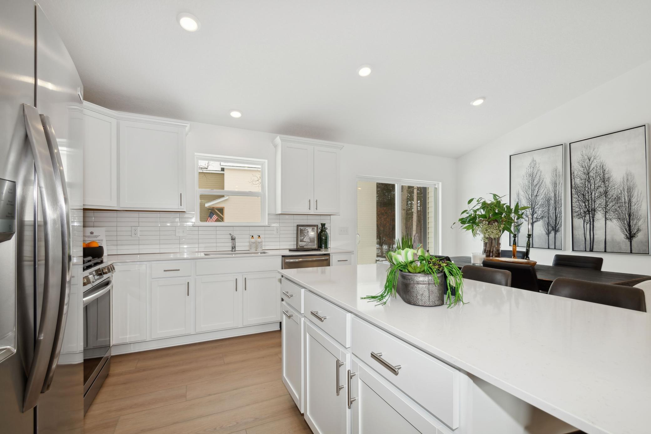 1007 Ashbury Lane, Hanover, Minnesota image 3