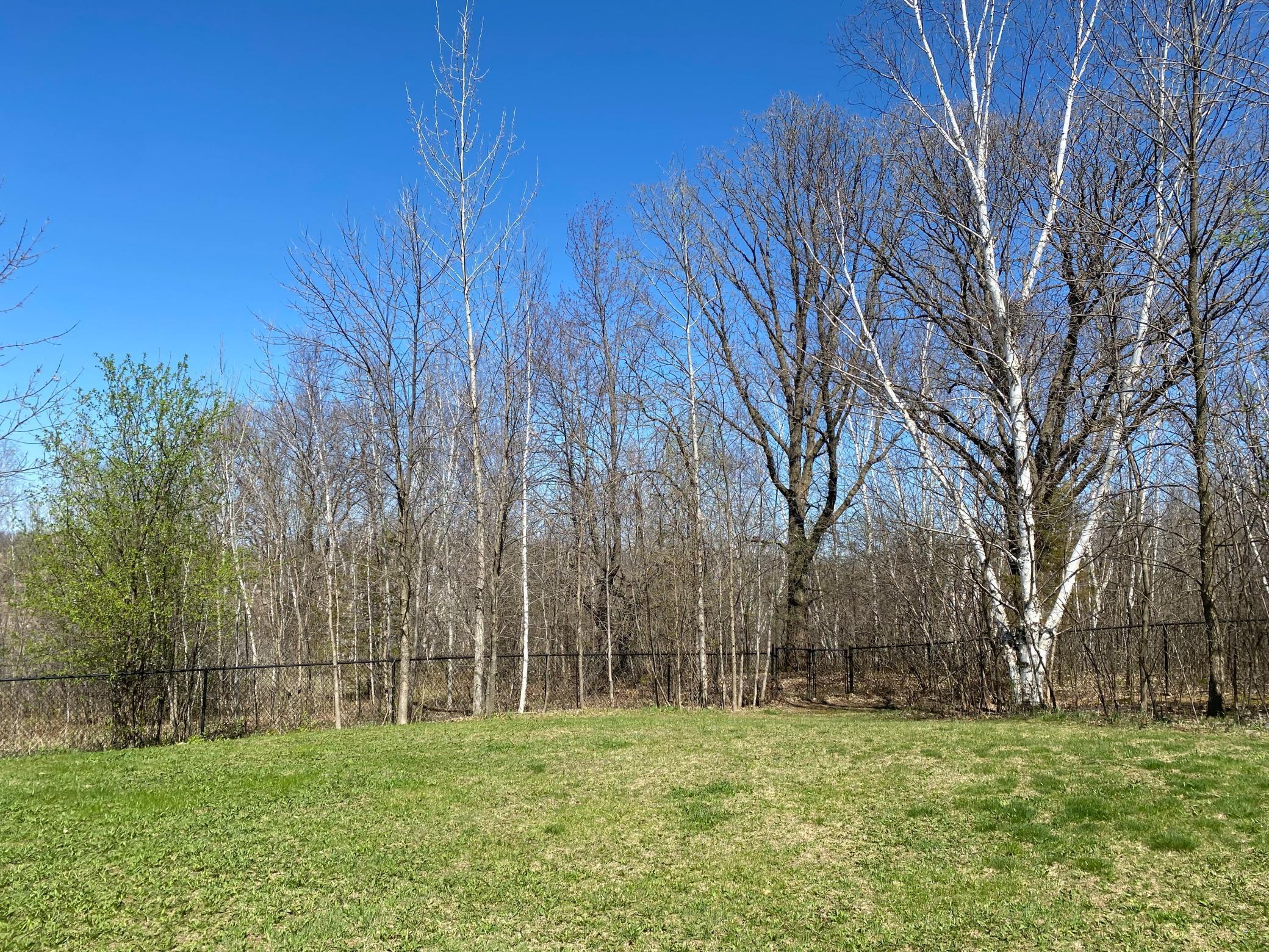 10992 97th Street, Milaca, Minnesota image 9