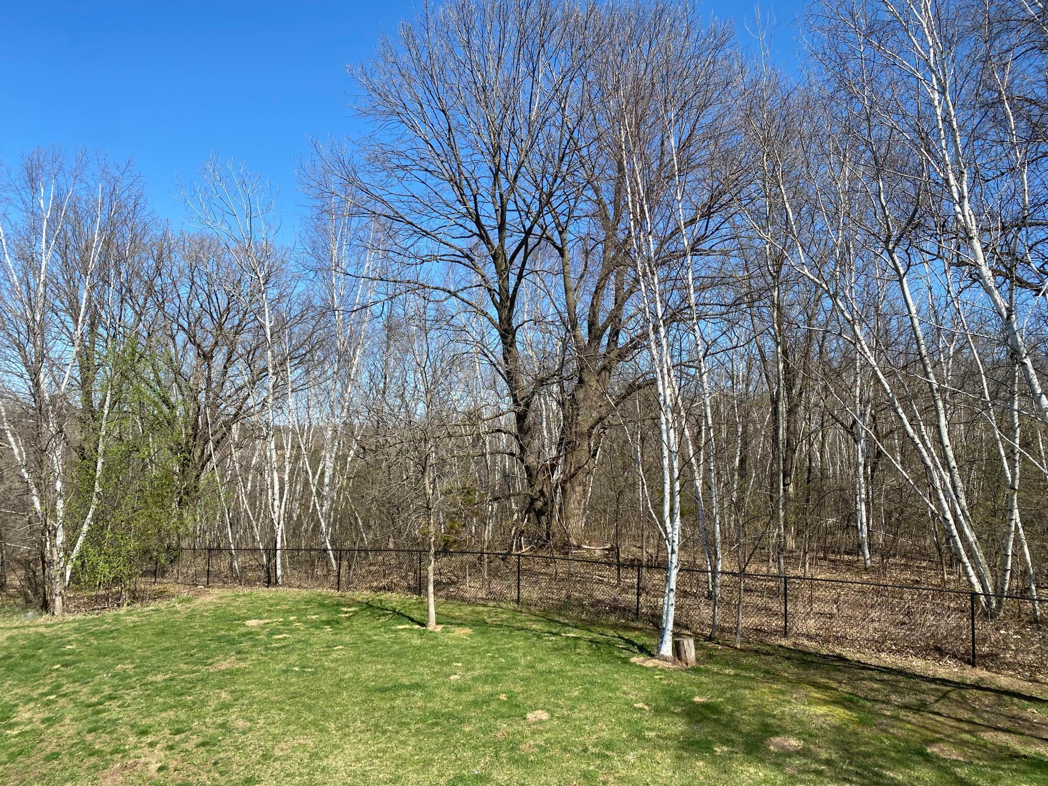 10992 97th Street, Milaca, Minnesota image 15