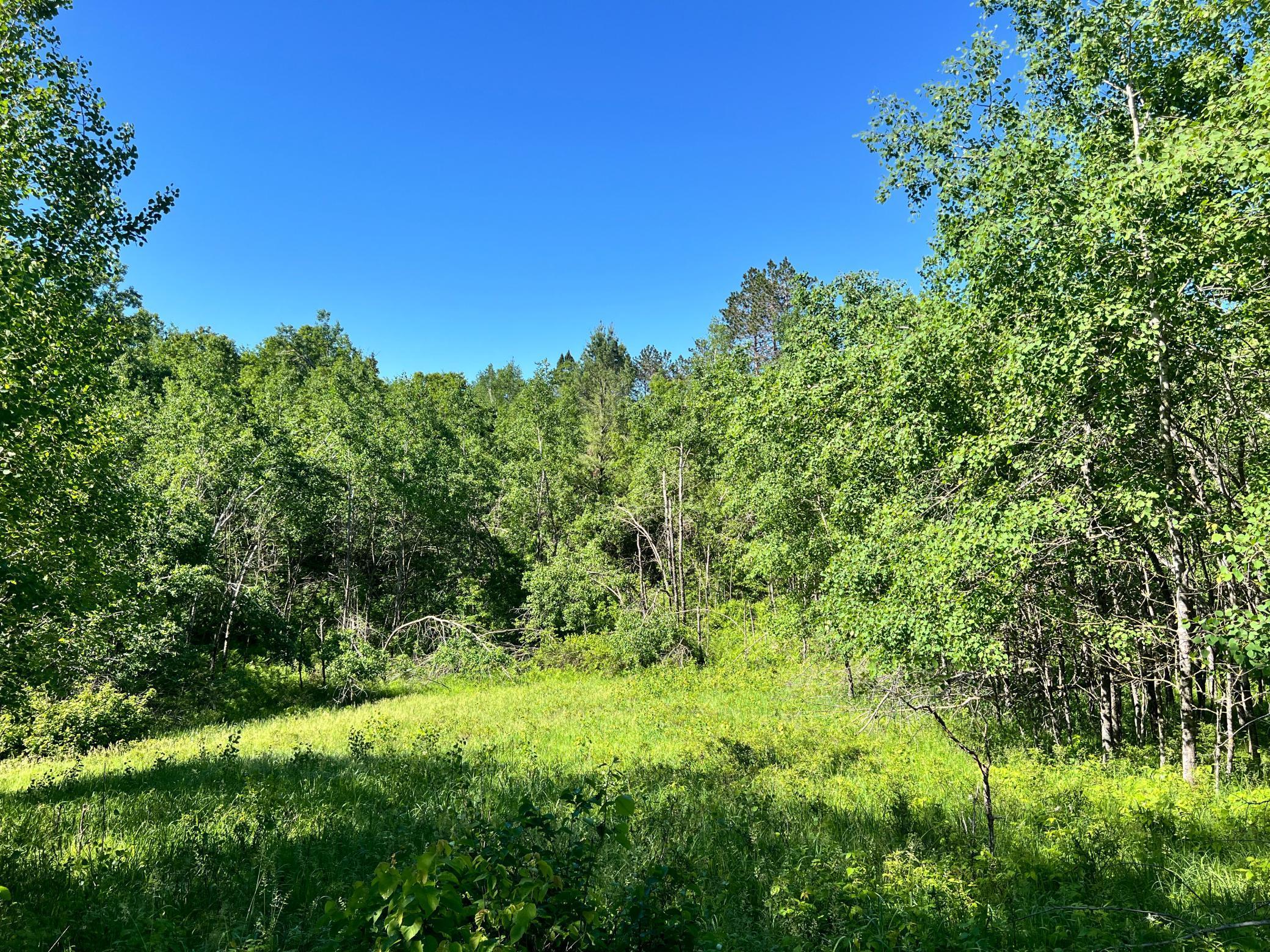 49073 Pansy Landing Road, Sandstone, Minnesota image 26